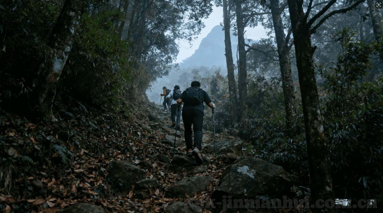 炸金花群一块一分拉人-炸金花群一块一分拉人，游戏背后的社交与策略